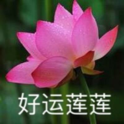 隔夜要闻：拜登退选或短期加剧市场波动性 苹果等多个美企高管现身北京 渣打称特朗普难以让美元贬值